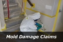 Newnan Public Adjuster for Mold Damage Insurance Claims