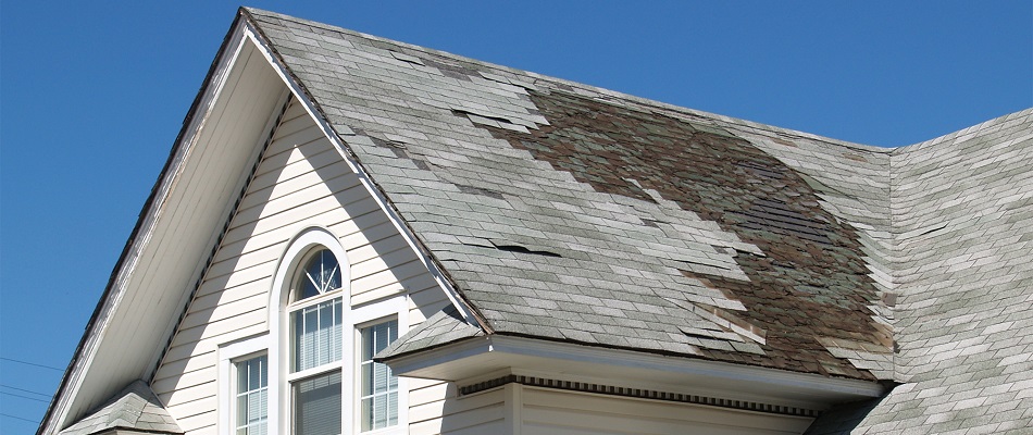 Public Adjuster Services in Newnan, Peachtree City and Fayetteville, GA.