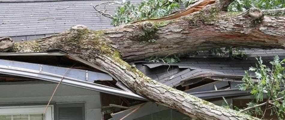 Public Adjuster Services in Newnan, Peachtree City and Fayetteville, GA.